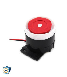 پیزو فلاشر فایو استار