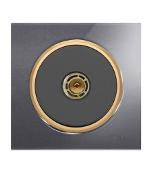 آنتن کلید و پریز ویرا آلفا اسپرت نوک مدادی طلایی (گلس)