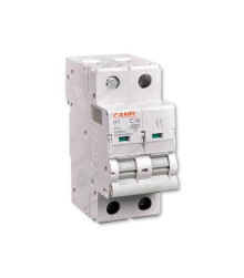 کلید مینیاتوری دو پل 40 آمپر کانل