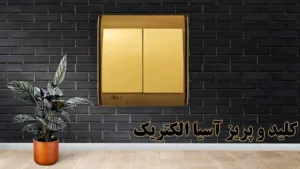 کلید-و-پریز-آسیا-الکتریک