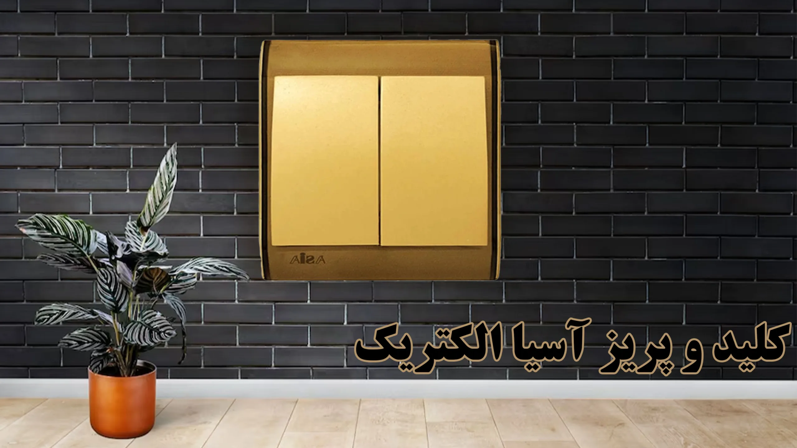 کلید-و-پریز-آسیا-الکتریک