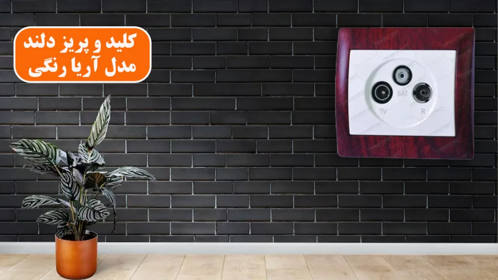 کلید-و-پریز-دلند-مدل-آریا-رنگی