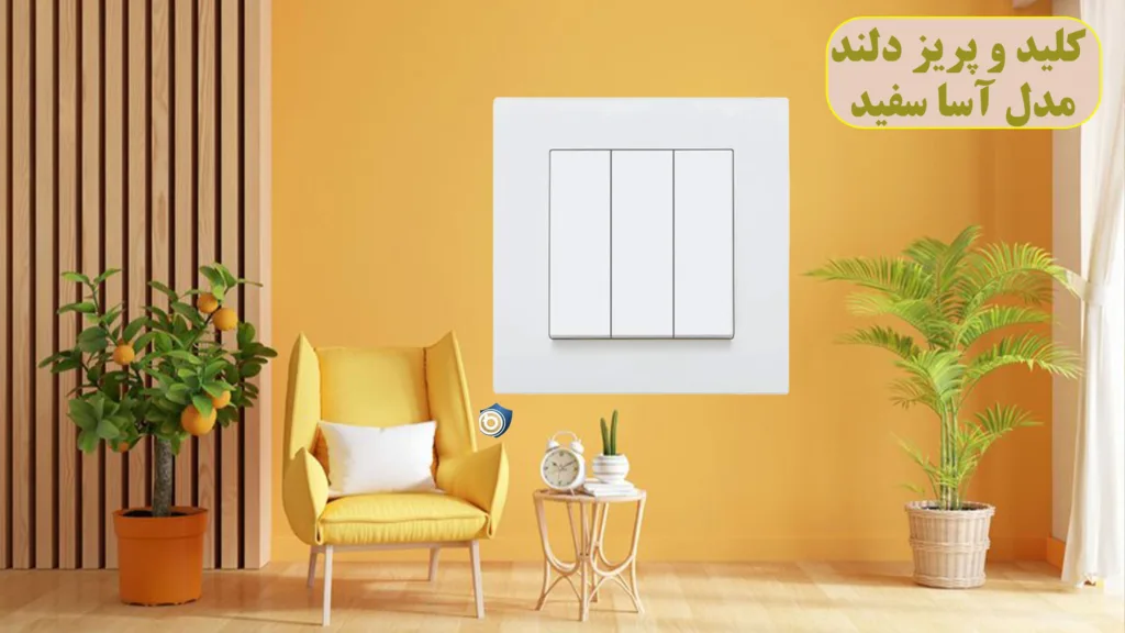 کلید-و-پریز-دلند-مدل-آسا-سفید