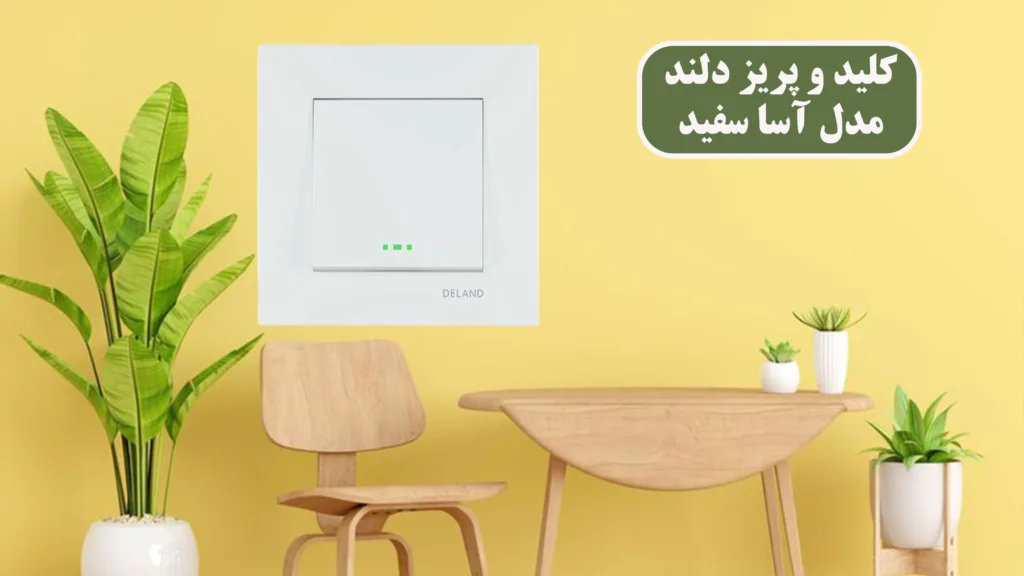 کلید-و-پریز-دلند-مدل-آسا-سفید---مکانیزم-جدید