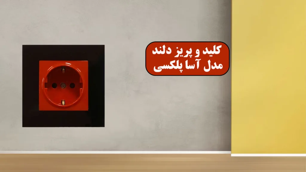 کلید-و-پریز-دلند-مدل-آسا-پلکسی