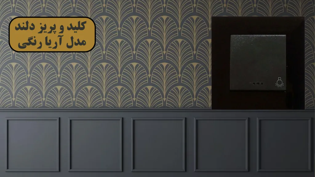 کلید-و-پریز-دلند-مدل-آسا-پلکسی-مشکی